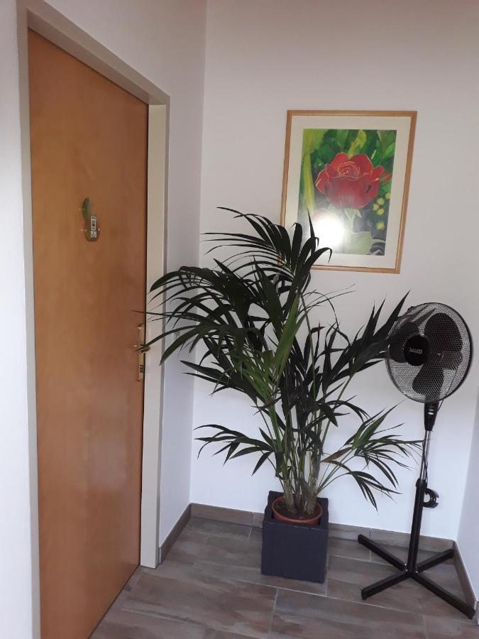 Obsthof Glueck Bed & Breakfast Gamlitz Bagian luar foto